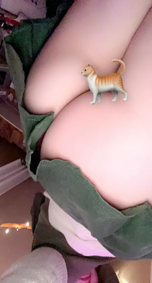 @coffeedreaminPNW by CoffeeDreaminPNW