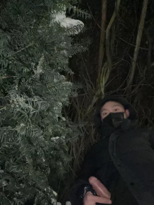 Cold but bold! by Okjayn