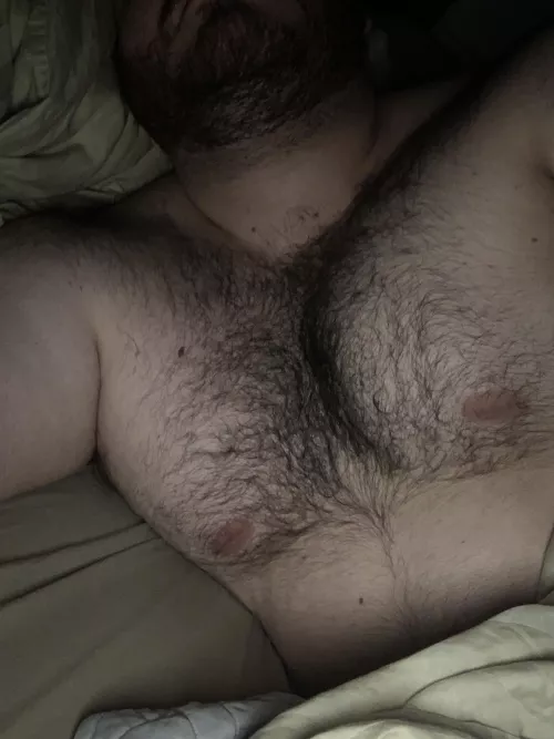 Cold day equals mid day nap by dj6913