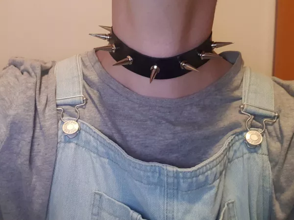 Collar and Overalls! by thegreenbutterfly