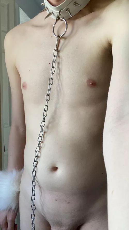 Collared and leashed :) by yakyoghurt