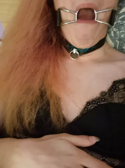 Collared, Gagged and Available by LunaLovesKittens