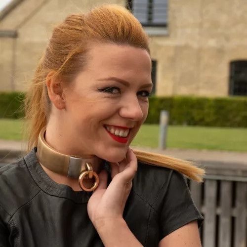 Collared in public by wraith522