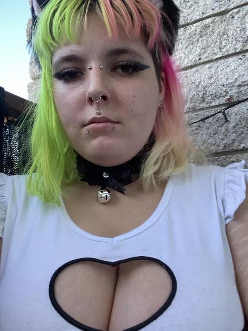 Collared kitty by Sluggyshy