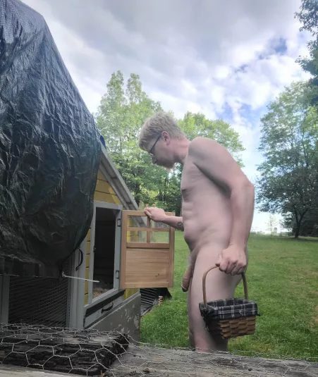 Collecting Eggs by Puzzled_Suggestion_5