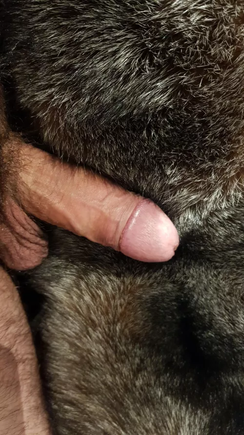 Come and get it harder by mcftl