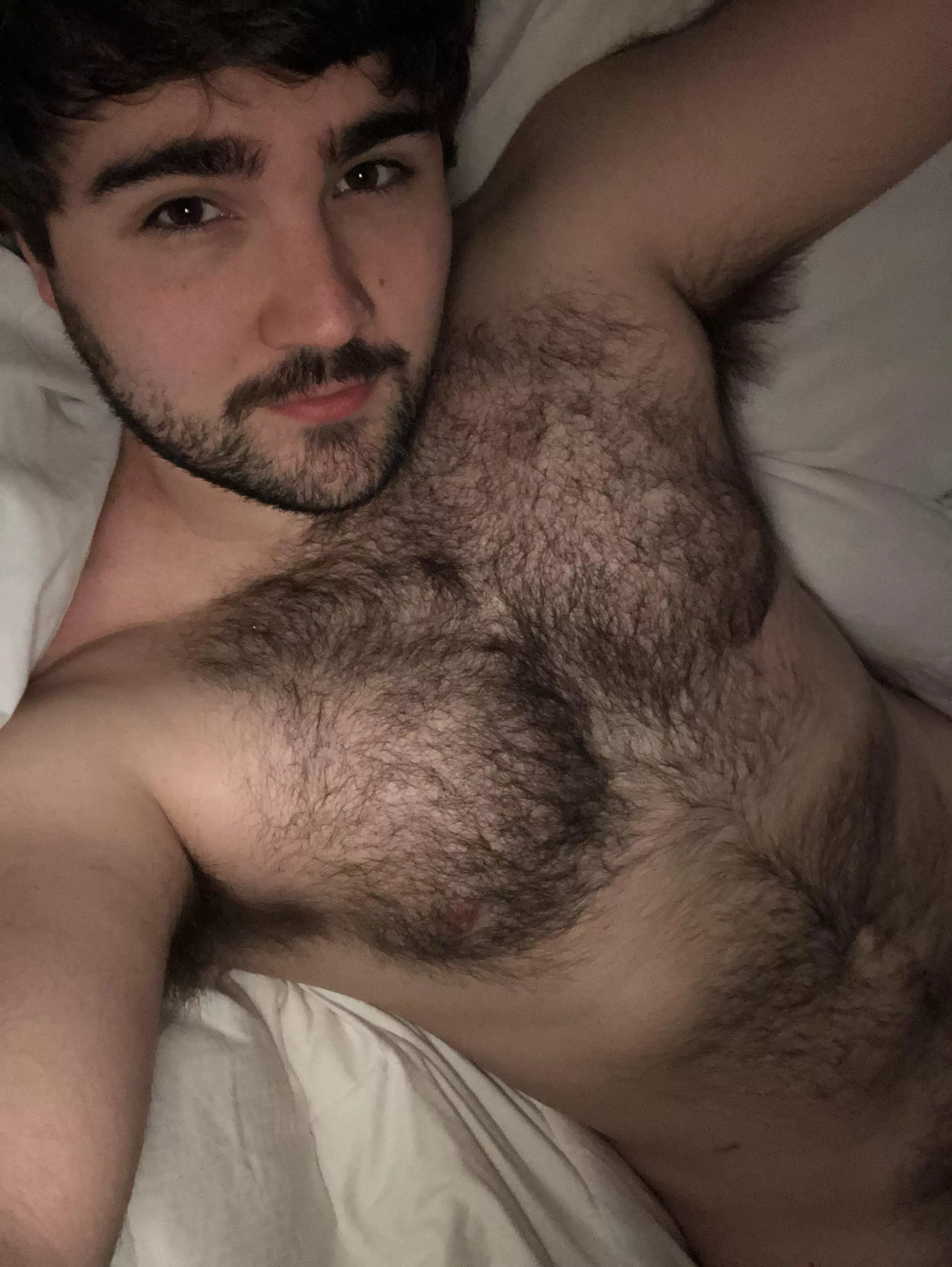 Co[m]e back to bed with me. posted by MidnightCurse