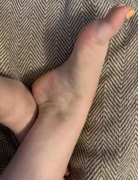 Come care for them by PMMeYourPuppies-