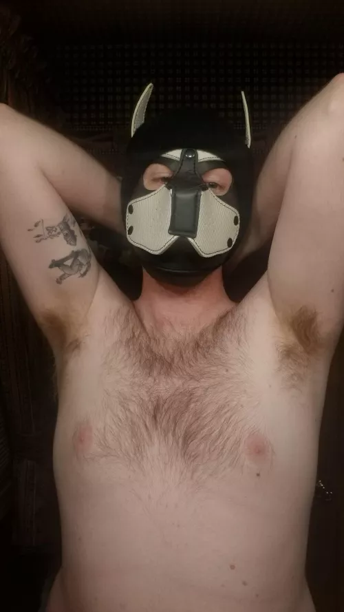 Come get a sniff from mee by vicwuss