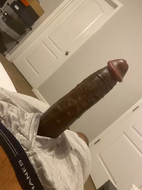 Come get this BBC sissies worship your superior kik blackdaddyy12 by blackdaddyy12