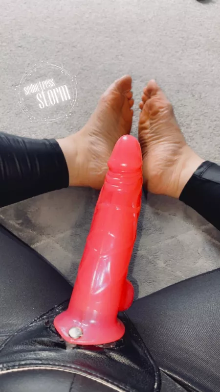 come get your whore mouth round my cock 💦 by seductressstorm