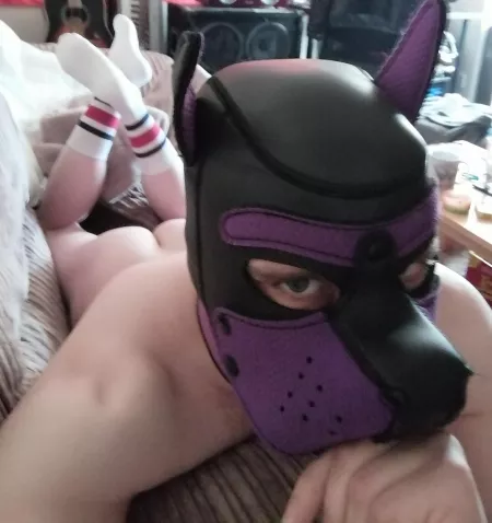 Come lounge with me~ by pinkpuppyjinx