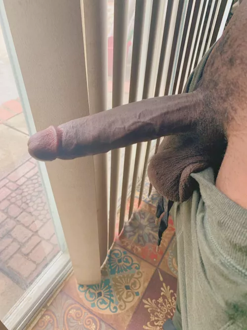 Come over and suck this big dick baby, I’m dying to feel the back of a throat rn by 11inchBKNYC