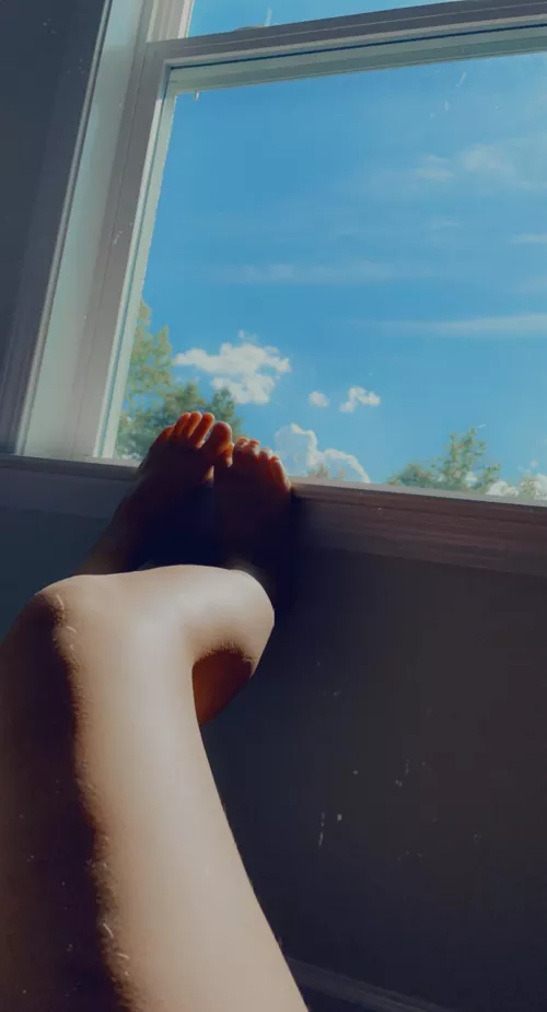 Come play with my toes? by AllieLaneBailey