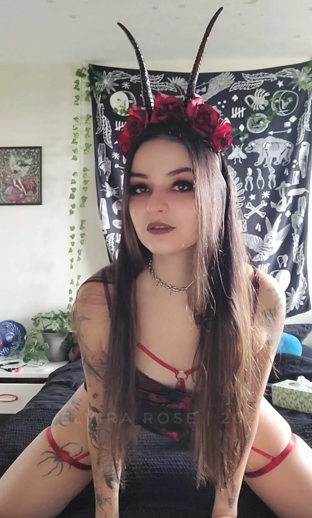 Come play with your little demon pet😊 posted by elvirarose_923