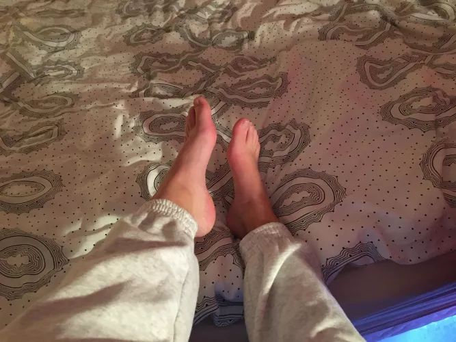 Come say hi don’t be shy by Sachafeet