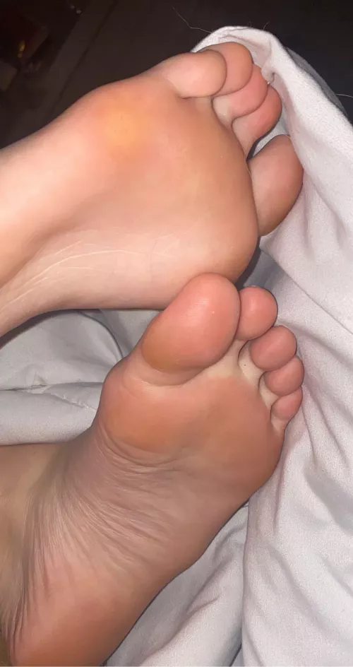 come smell by sseebehtevas