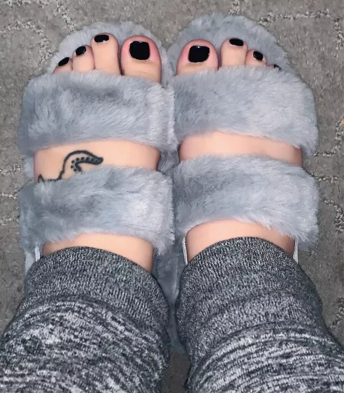 Come suck my toes one at a time 👅 by Caitlinalyssam