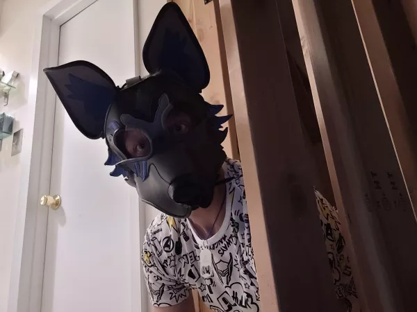 Coming out the kennel slow. I spook easy. by SofaKing_Lame