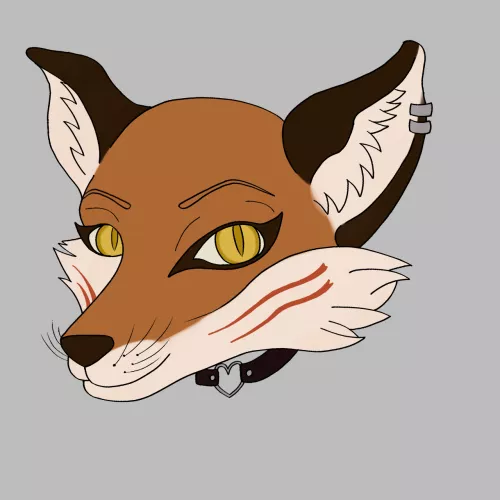 comment here a physical characteristic and I'll create a furry with all of them! this will be fun trust me by yunkfurr