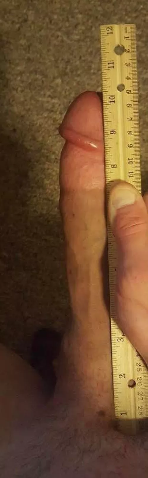 Compare it by stevesilva4