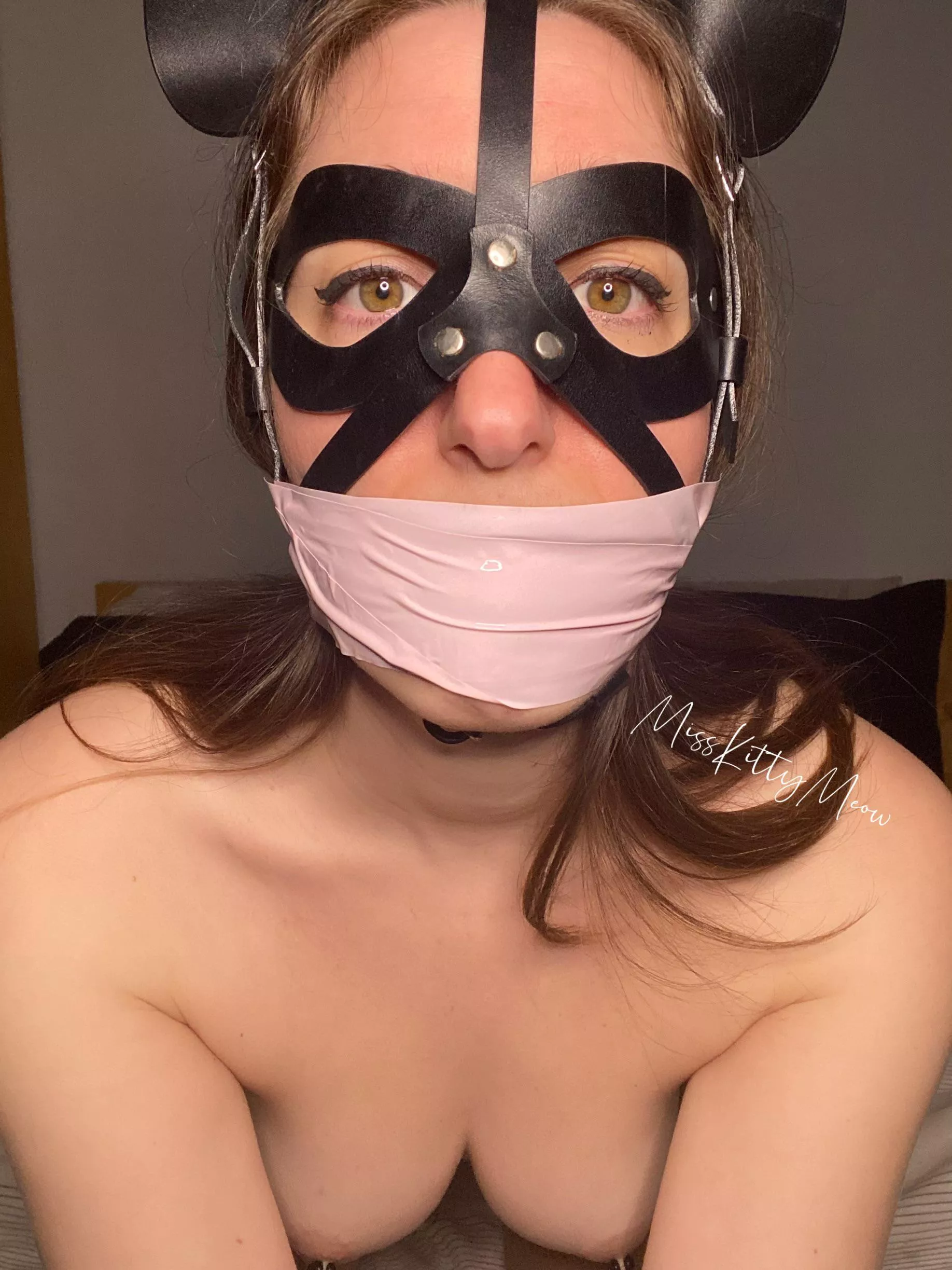 Completely wrapped posted by MissKittyMeoww