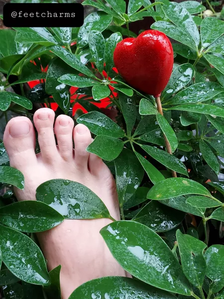 Connecting my feet with nature❤. My soles are spoiled by fresh rain water🌧. Wanna go wet together? by feetcharms