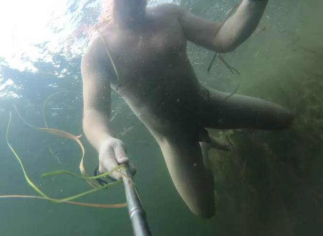 Connecting with nature on a nude spring dive this afternoon! (M) posted by nofloexplorer