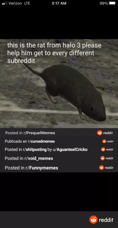 Continue his journey. by Good_day176