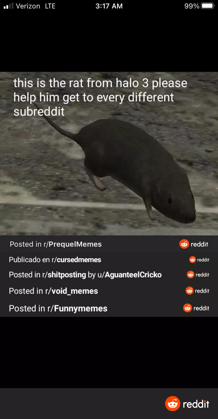 Continue his journey. posted by Good_day176