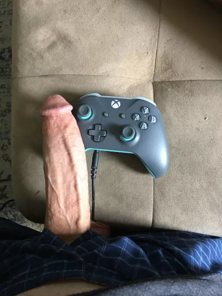 Controller and a penis by blueeyebeanstalk
