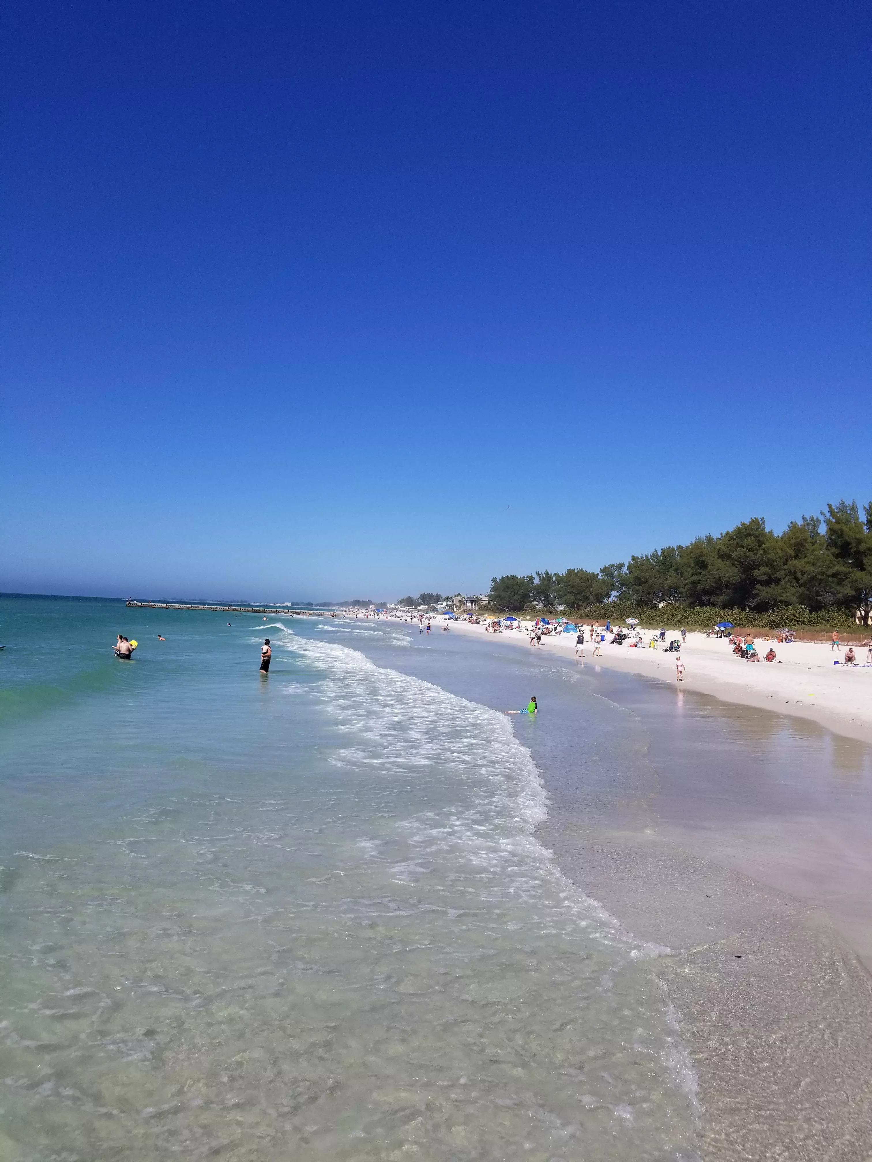 Coquina Beach, FL posted by Crisbel86