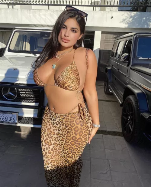 Cougar County by VidockX