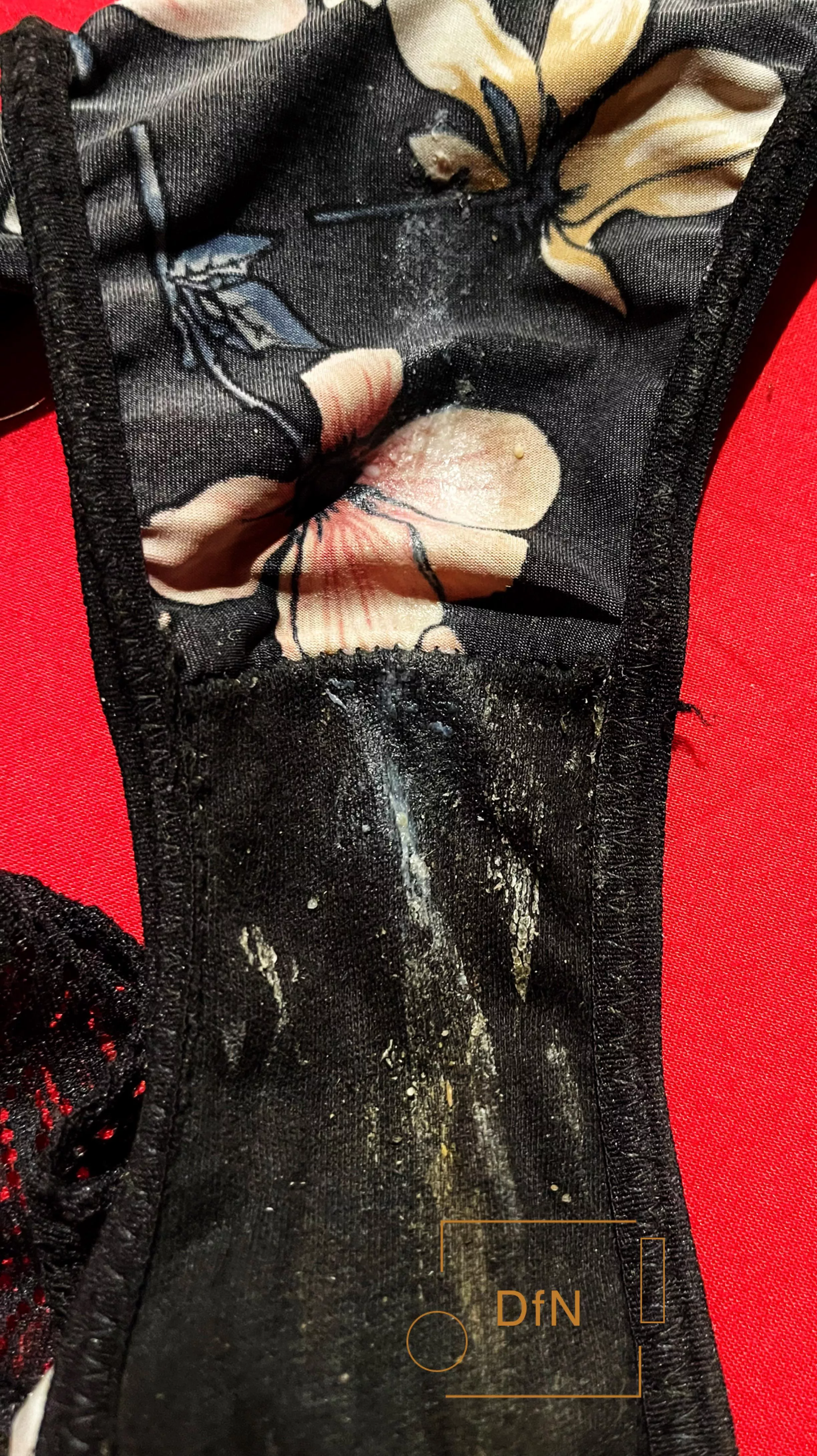 Could I tease him with this picture? posted by DirtyFromNeglect