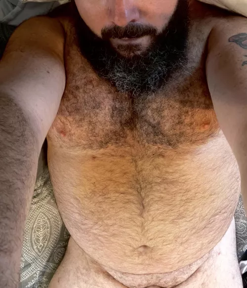 Could use a chubby girl to cuddle with by NCYank