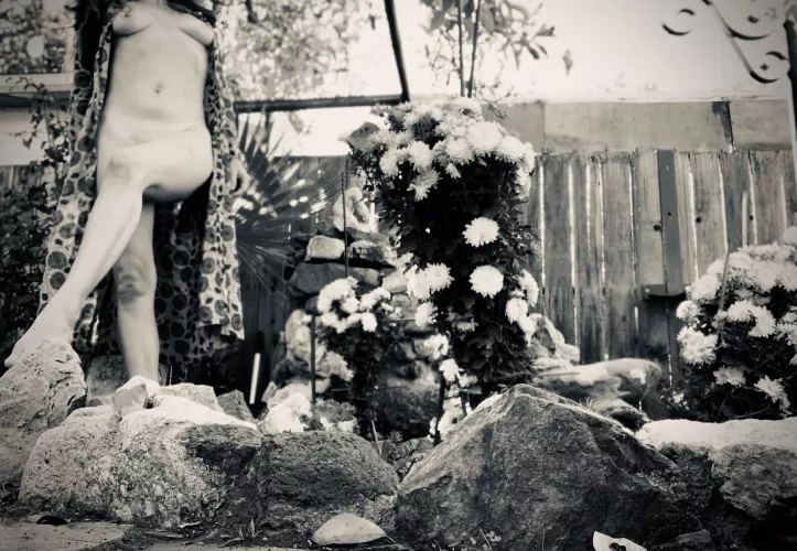 Courting Eros. (F) by SchemeKind