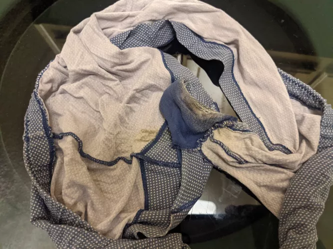 Cousins stained and crusty panties. by Kyle_Singer