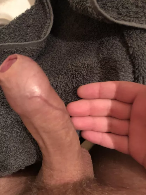 Covered by rapidwanker