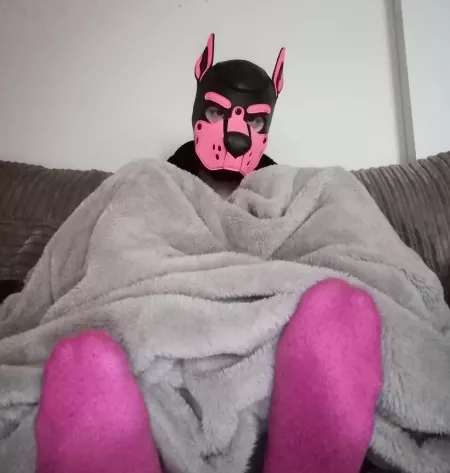 Cozy~🐾 by pinkpuppyjinx