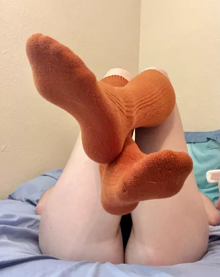 cozy autumn socks🍂 by littesttittys