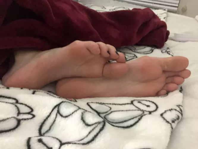 Cozy night, want to join? by Pinky__Please