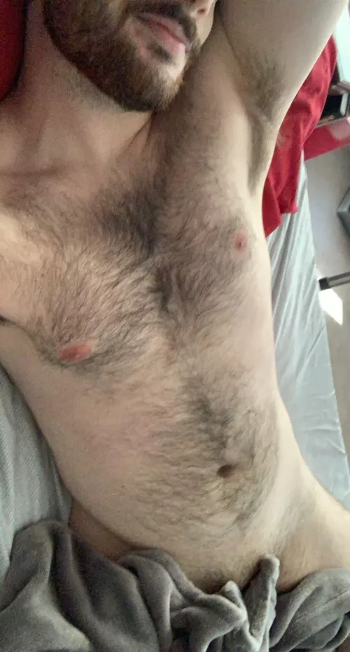 cozy otter by showinbuns6