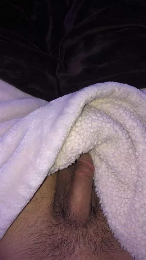 crawl under the sheets and play w my cock by idekchristian