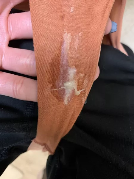 Cream queen 🧡🐱 by KaitiBaby69