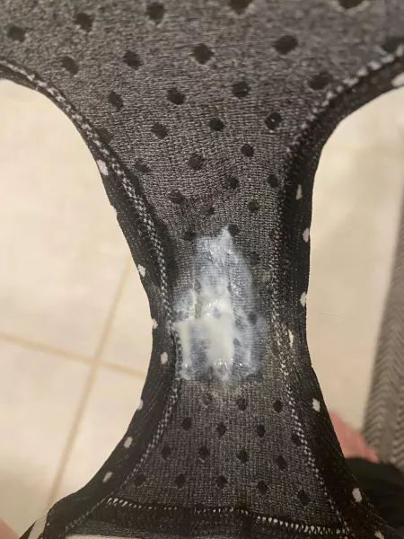 Creamy panties just for you by Peytonlittle