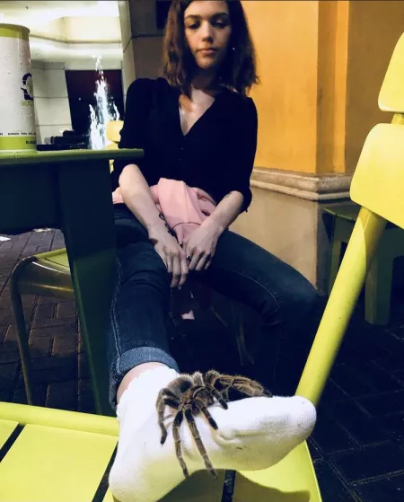 Creatures love socks too 😁😊🕷 by Ok_Razzmatazz_7019