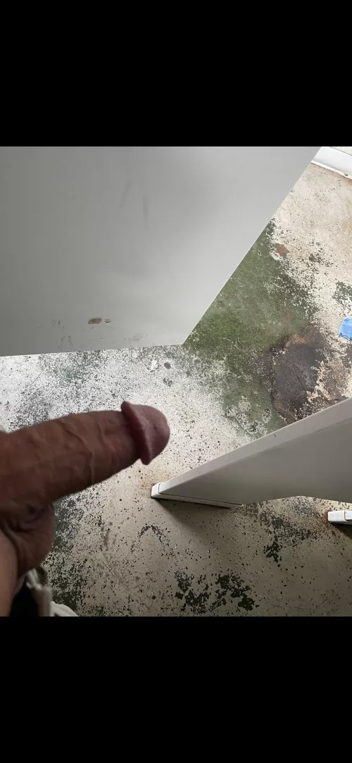 Cruising a public restroom had the door wide open by Last-Bluebird