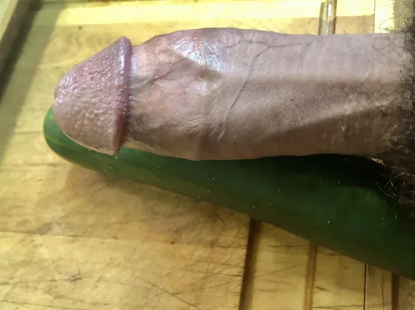cucumber thick dick by dorfus99
