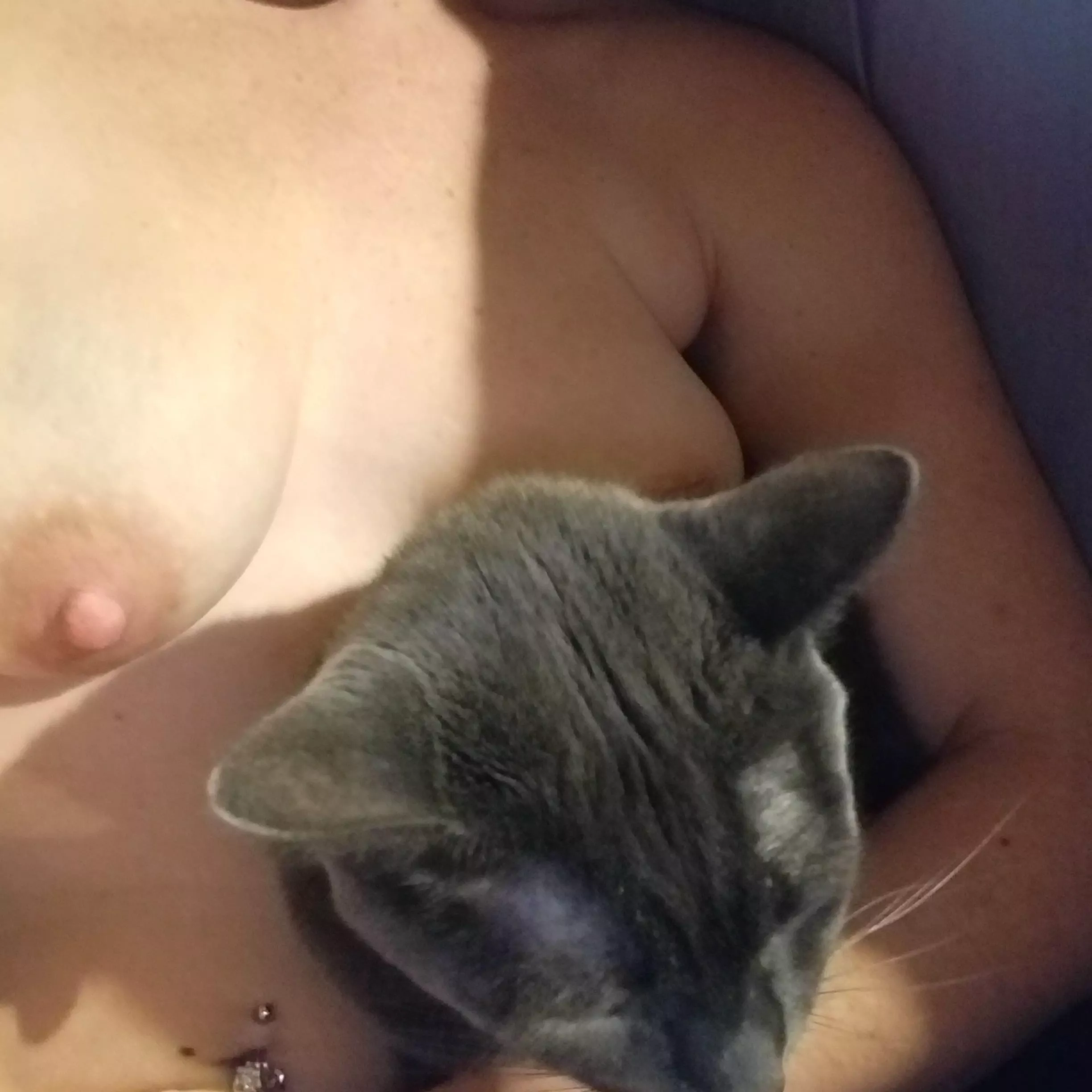 ❤Cuddles!😻 posted by [deleted]