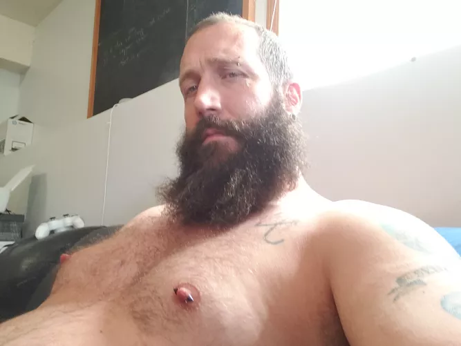 Cuddly Daddy bear by harlanparamore